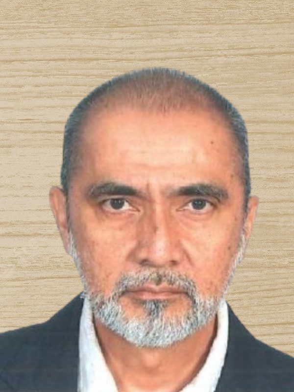 Sr Mohd Fauzi bin Hamdan